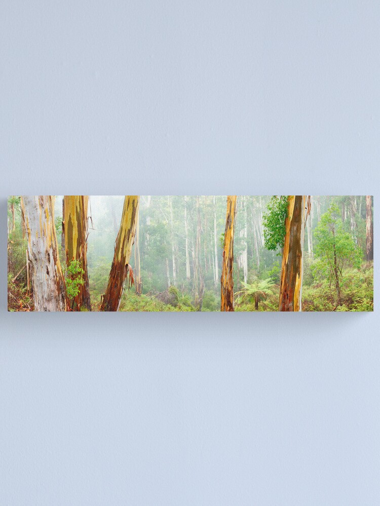 Thumbnail 2 of 3, Canvas Print, Foggy Forest, Otways National Park, Victoria, Australia designed and sold by Chockstone.