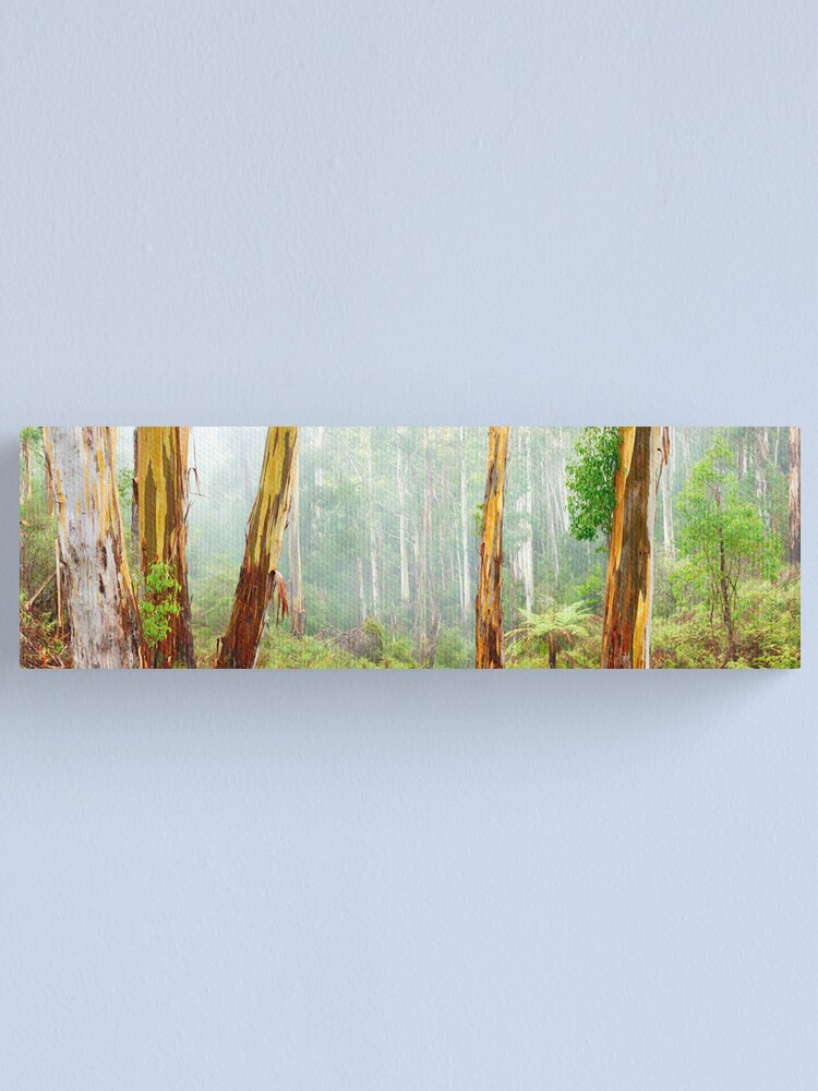 Thumbnail 2 of 3, Canvas Print, Foggy Forest, Otways National Park, Victoria, Australia designed and sold by Chockstone.
