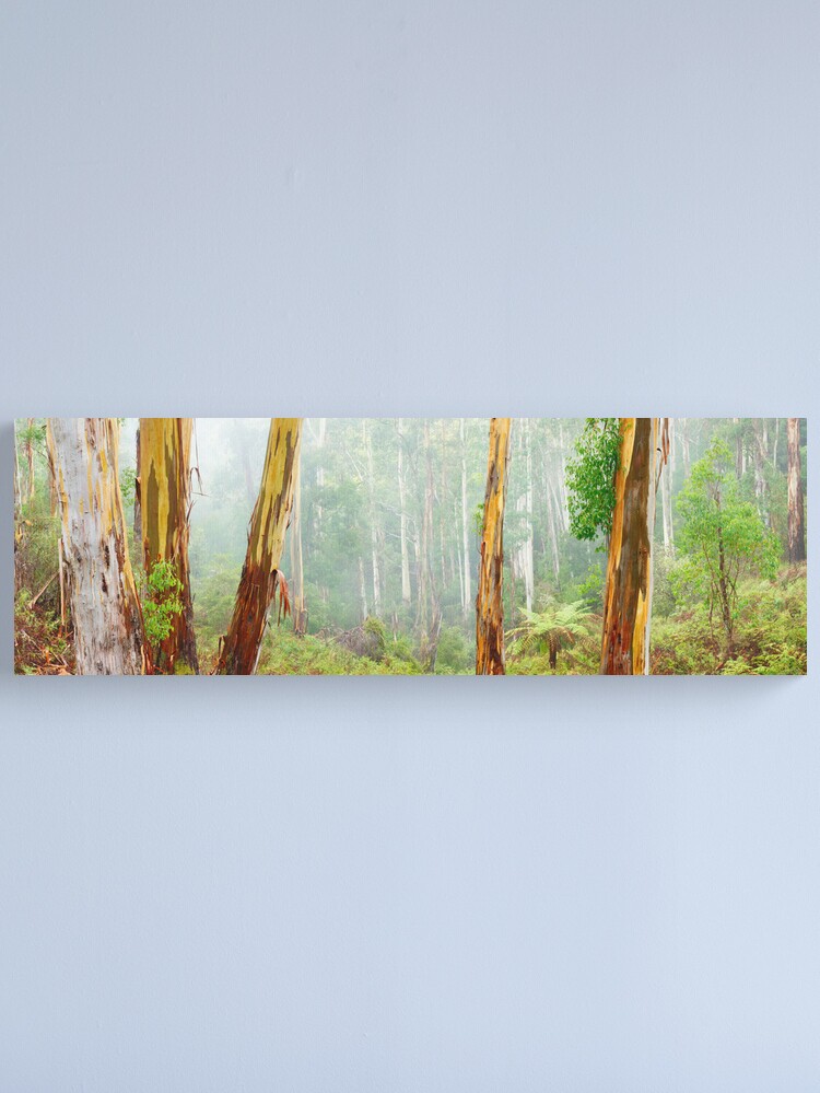 Thumbnail 2 of 3, Canvas Print, Foggy Forest, Otways National Park, Victoria, Australia designed and sold by Chockstone.
