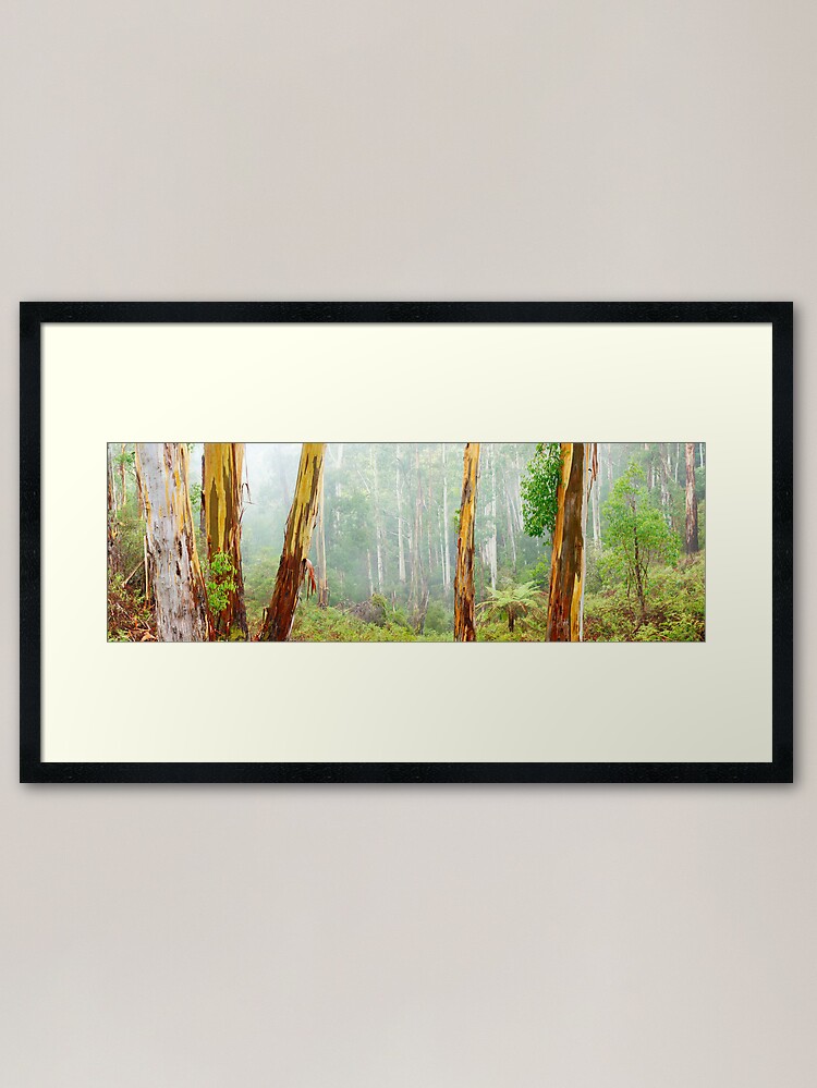 Thumbnail 2 of 7, Framed Art Print, Foggy Forest, Otways National Park, Victoria, Australia designed and sold by Chockstone.