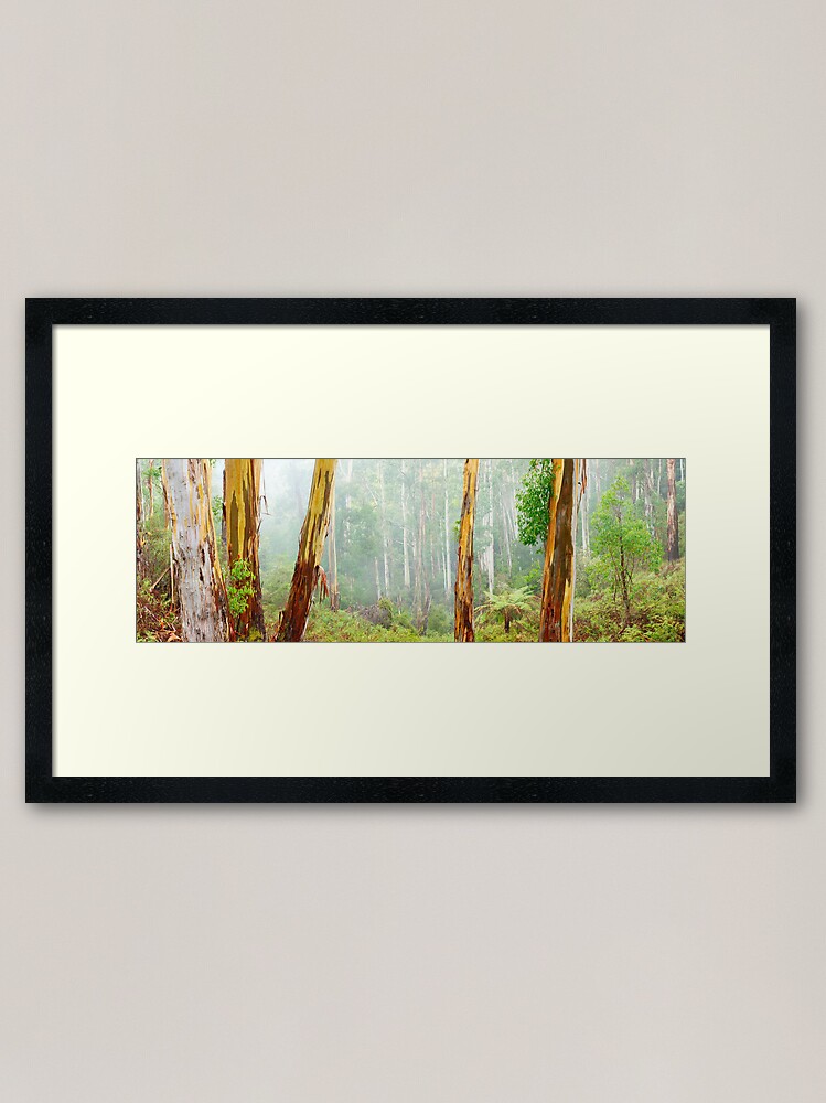 Thumbnail 2 of 7, Framed Art Print, Foggy Forest, Otways National Park, Victoria, Australia designed and sold by Chockstone.
