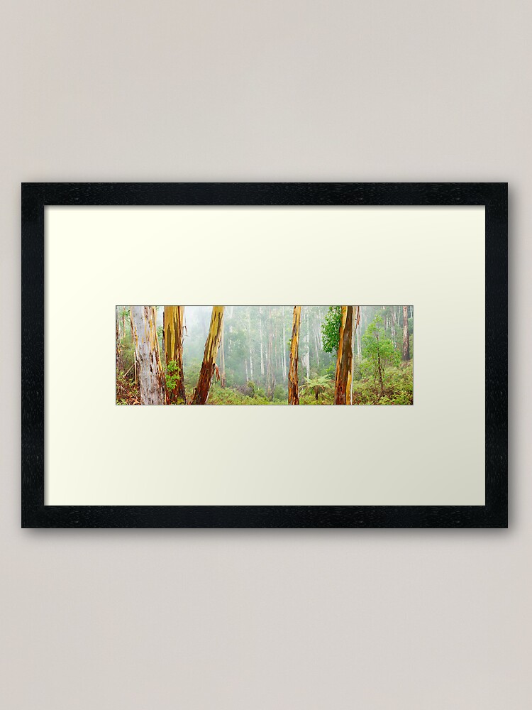 Thumbnail 1 of 7, Framed Art Print, Foggy Forest, Otways National Park, Victoria, Australia designed and sold by Chockstone.