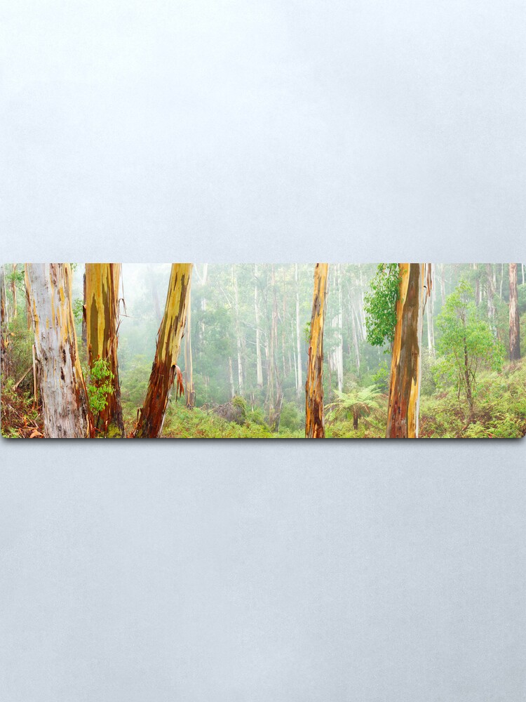Alternate view of Foggy Forest, Otways National Park, Victoria, Australia Metal Print
