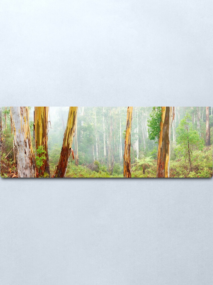 Alternate view of Foggy Forest, Otways National Park, Victoria, Australia Metal Print