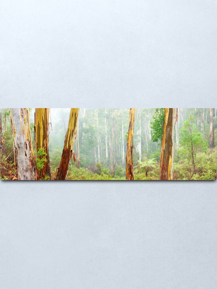Alternate view of Foggy Forest, Otways National Park, Victoria, Australia Metal Print
