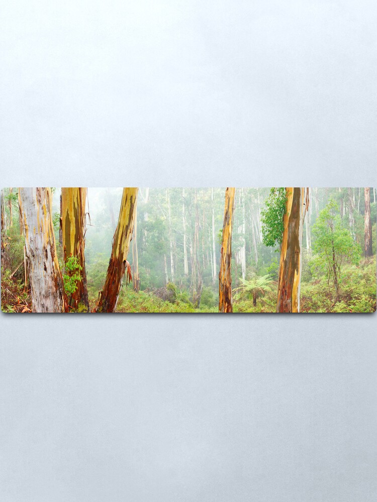 Alternate view of Foggy Forest, Otways National Park, Victoria, Australia Metal Print