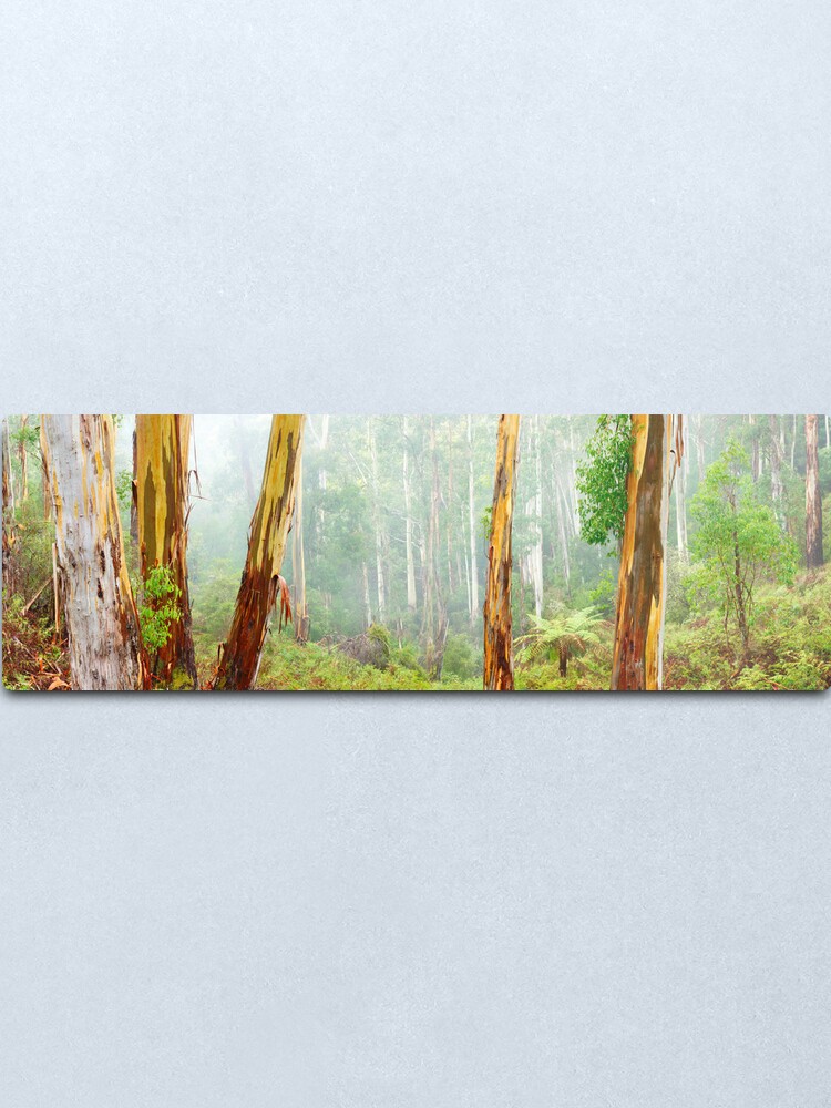 Alternate view of Foggy Forest, Otways National Park, Victoria, Australia Metal Print