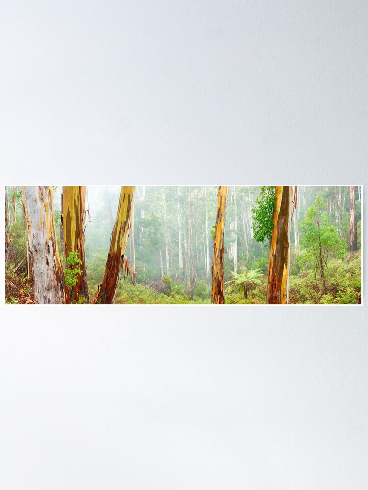 Thumbnail 2 of 3, Poster, Foggy Forest, Otways National Park, Victoria, Australia designed and sold by Chockstone.