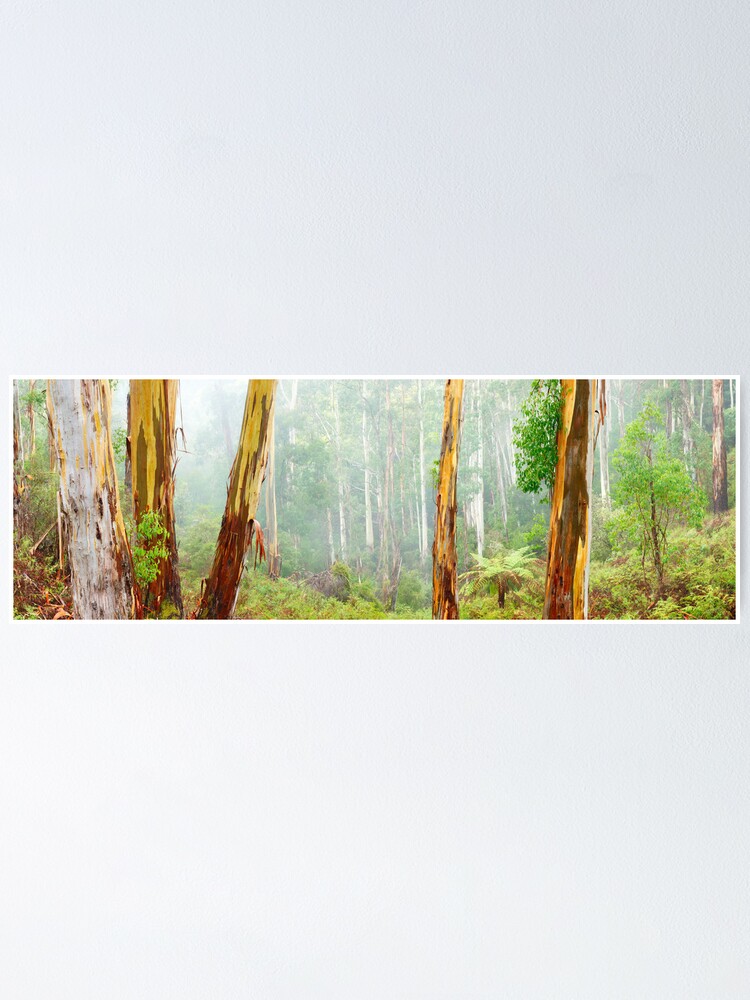 Thumbnail 1 of 3, Poster, Foggy Forest, Otways National Park, Victoria, Australia designed and sold by Chockstone.