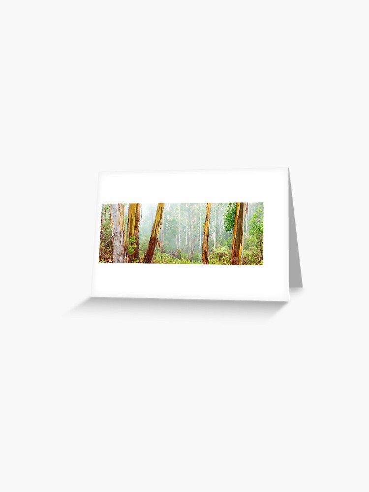Thumbnail 1 of 2, Greeting Card, Foggy Forest, Otways National Park, Victoria, Australia designed and sold by Chockstone.