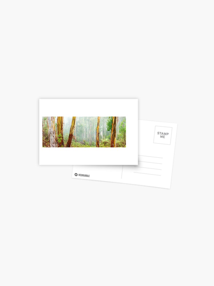 Thumbnail 1 of 2, Postcard, Foggy Forest, Otways National Park, Victoria, Australia designed and sold by Chockstone.