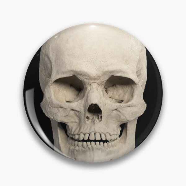 Item preview, Skull designed and sold by Black Star.