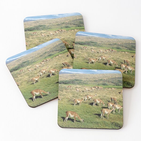 Item preview, Torres Del Paine NP, Chile designed and sold by beavo.