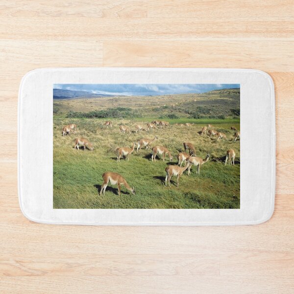 Item preview, Torres Del Paine NP, Chile designed and sold by beavo.