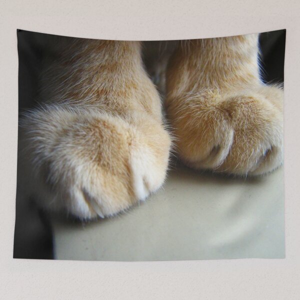 Item preview, Cat Paws designed and sold by Maria  Gonzalez.
