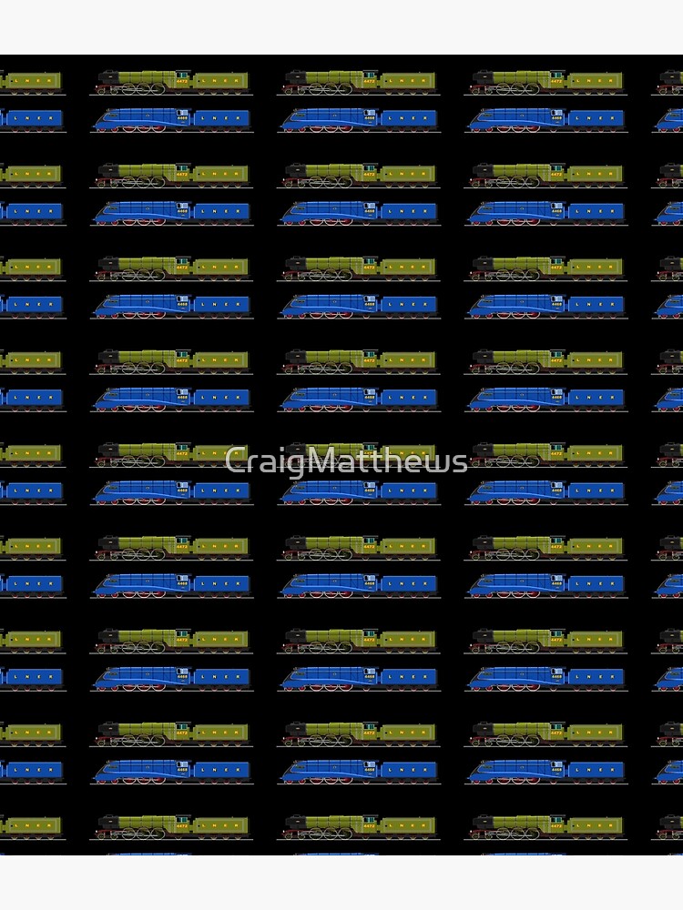 Flying Scotsman and the Mallard by CraigMatthews