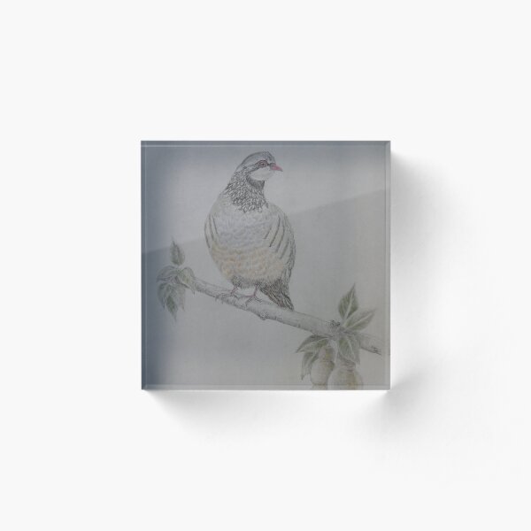 On The 1st Day of Christmas Acrylic Block