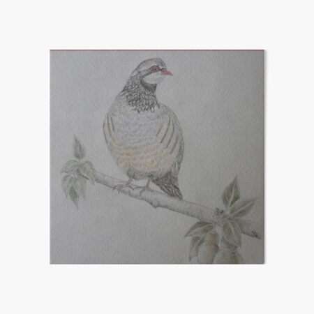 On The 1st Day of Christmas Art Board Print