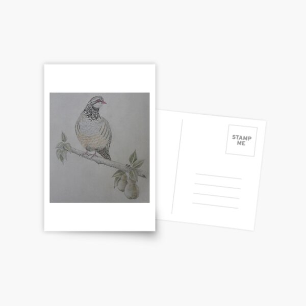 On The 1st Day of Christmas Postcard