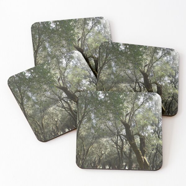 Item preview, Forest of olive trees designed and sold by Furiarossa.