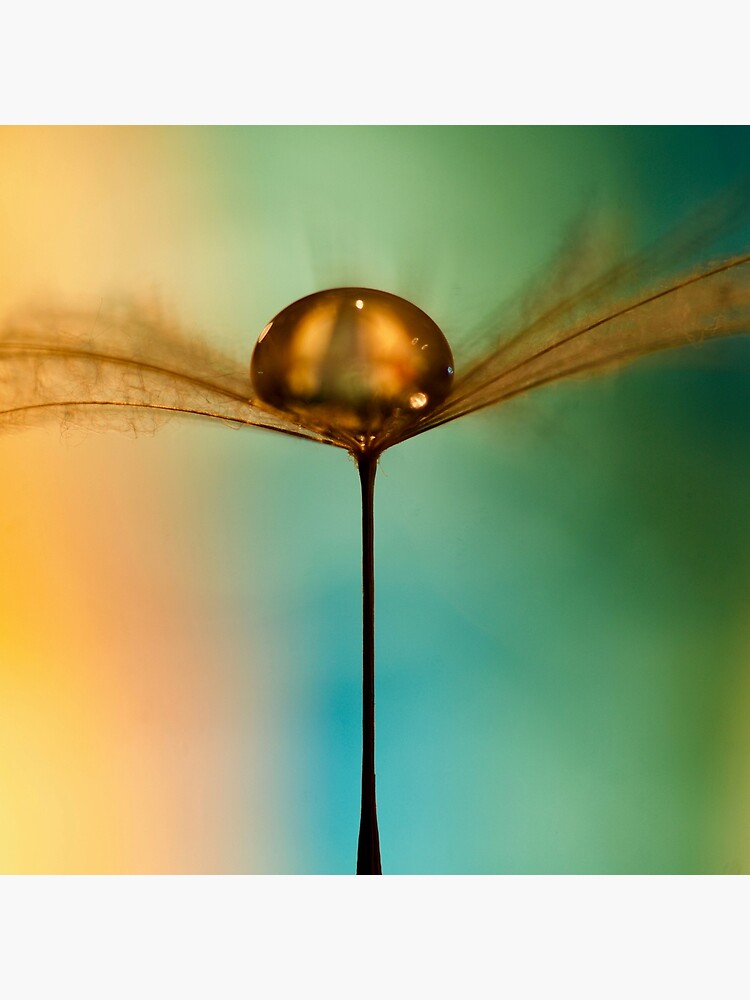 Flight Of The Teardrops Turquoise & Mustard II by IanDonCrockett