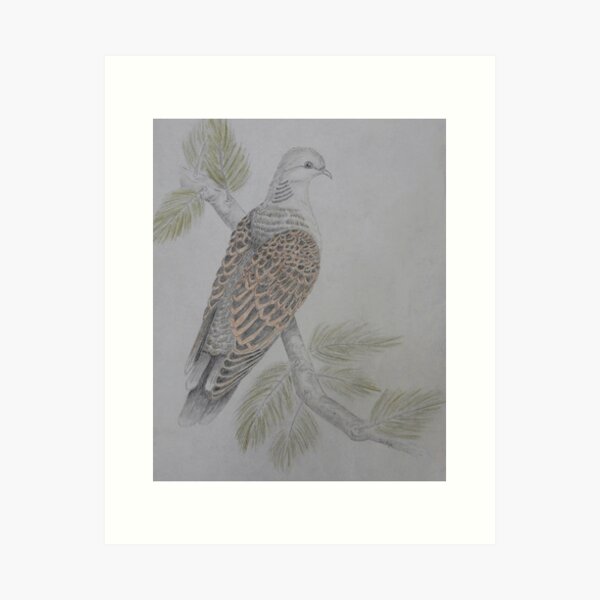 On The 2nd Day of Christmas Art Print