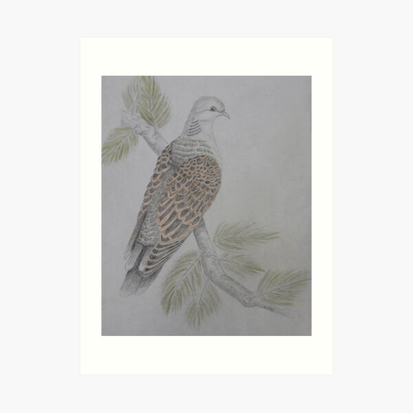 On The 2nd Day of Christmas Art Print