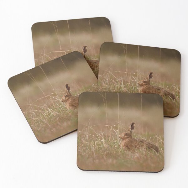 Item preview, Brown hare without a care designed and sold by miradorpictures.