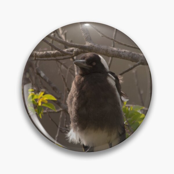 Item preview, Baby Magpie designed and sold by DeborahMcGrath.