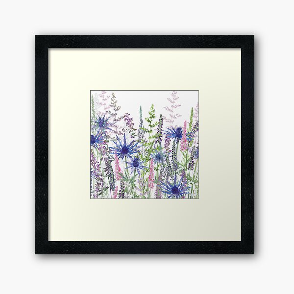 Flower Meadow - Sea Holly, Veronica Flowers & Grasses Framed Art Print