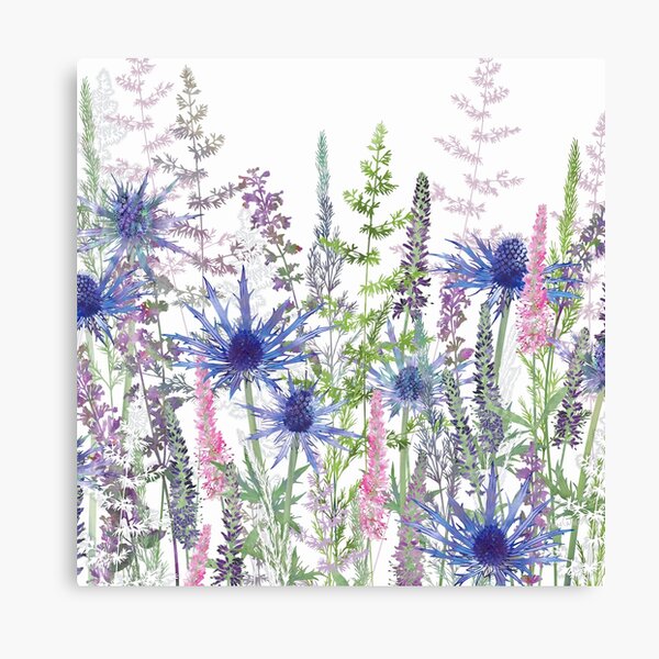 Flower Meadow - Sea Holly, Veronica Flowers & Grasses Canvas Print