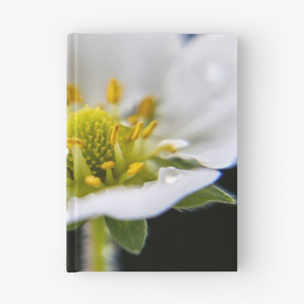 Artikelvorschau, Wassertropfen auf Blossom entworfen und verkauft von DigitalGen.
