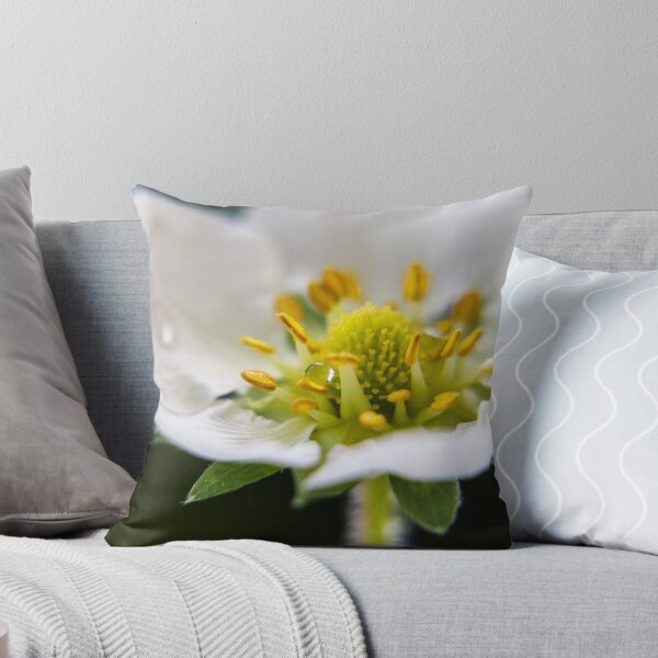 Item preview, Water drops on Blossom  designed and sold by DigitalGen.