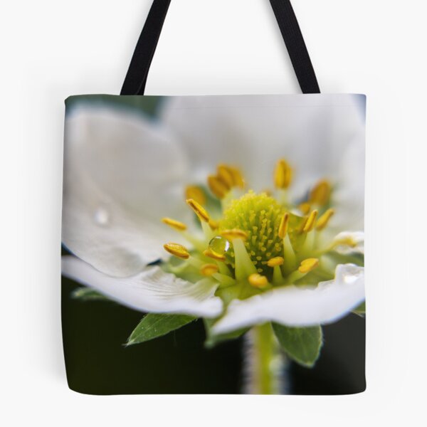 Artikelvorschau, Wassertropfen auf Blossom entworfen und verkauft von DigitalGen.
