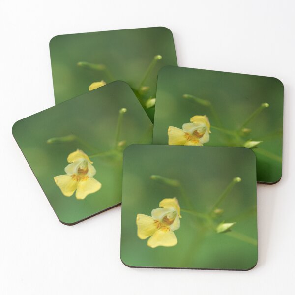 Item preview, Balsam for the Soul designed and sold by Kasia Design.