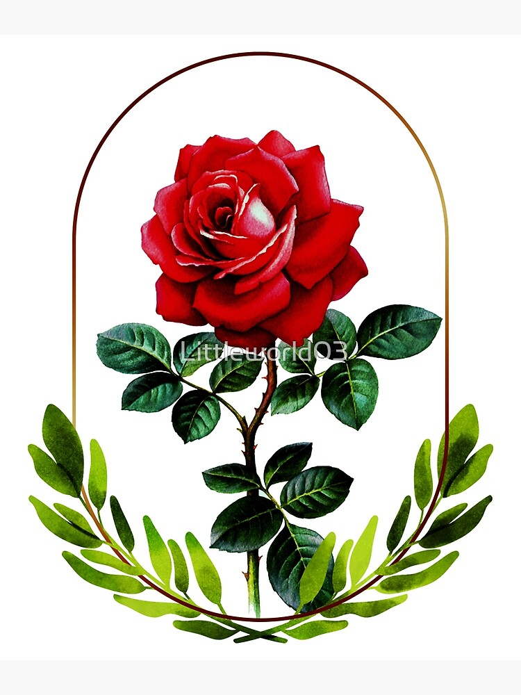 Embroidery roses flowers t-shirt design. Beautiful red roses