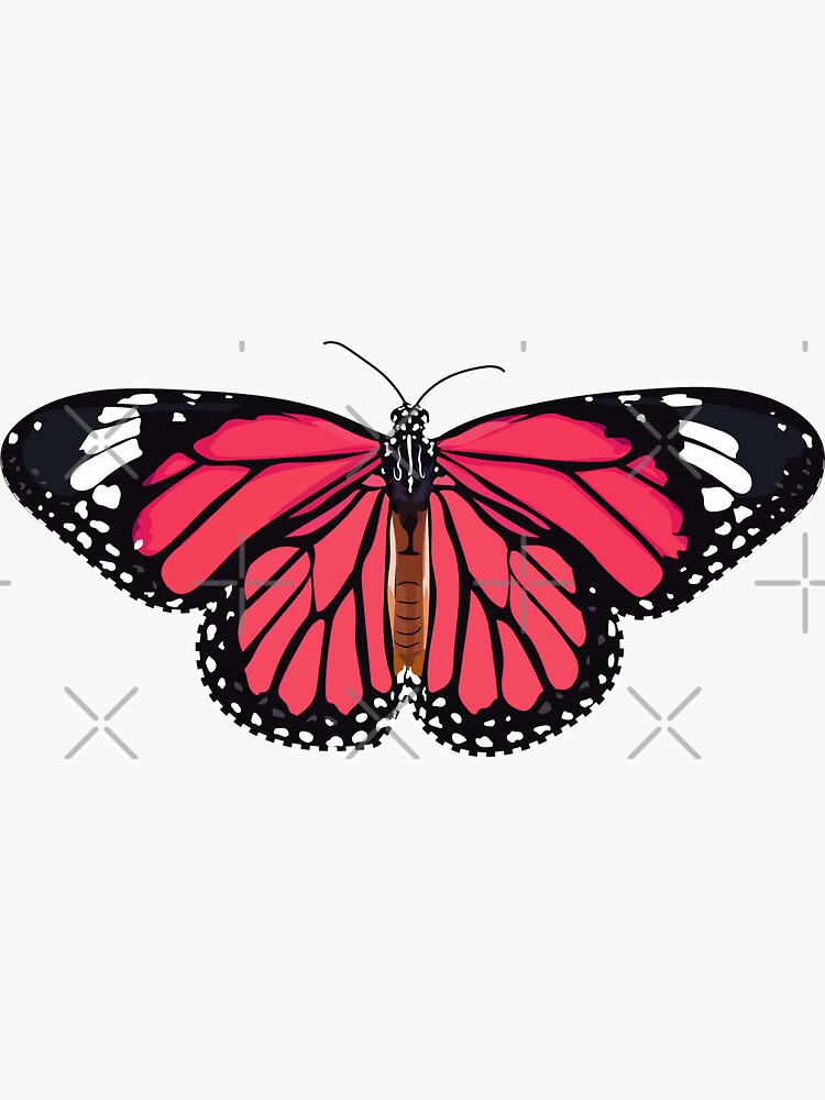 "Pink Butterfly Sticker" Sticker for Sale by juliiaaaxoxo Redbubble
