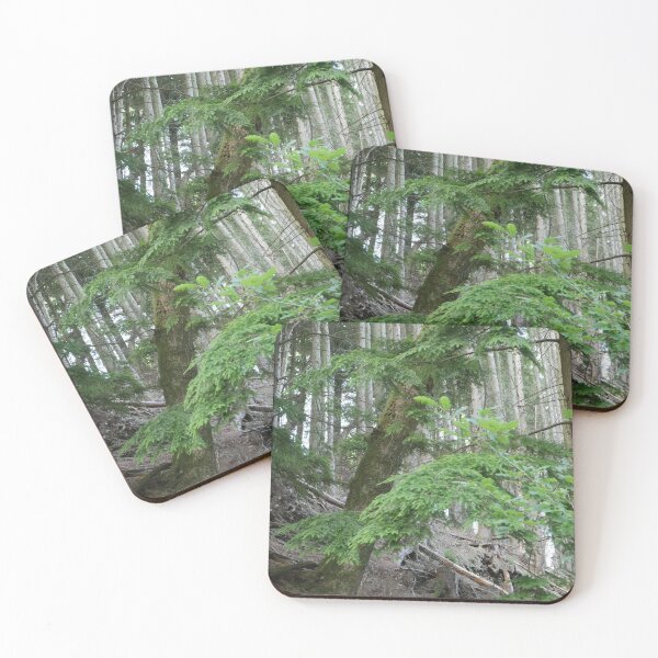 Item preview, Forest Hill designed and sold by TomInWales.