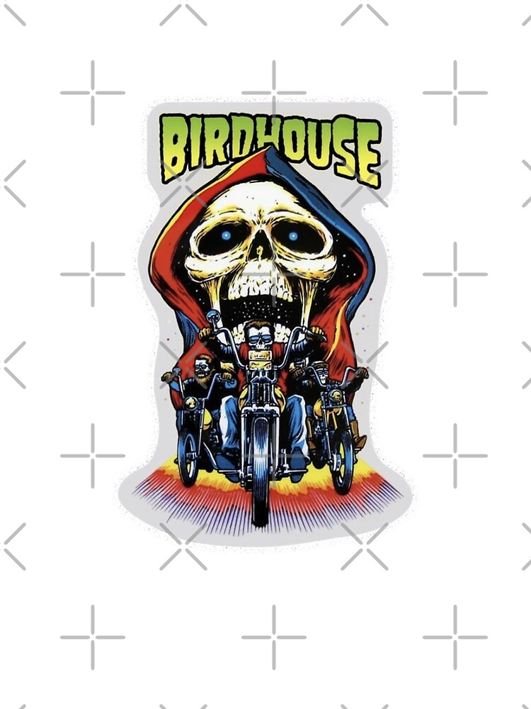 Vintage Birdhouse Tony Hawk Bird House Hook Ups Skate Brand Cartoon Hookups  Hook-Ups Robot Shark Metal Print for Sale by jackyboi
