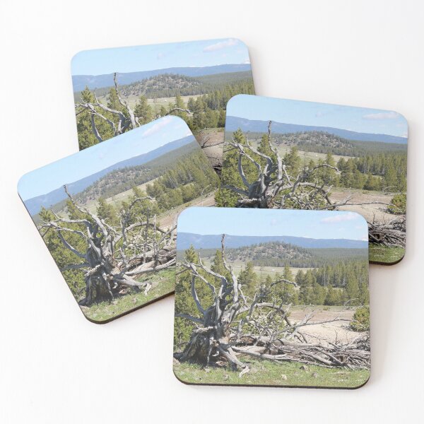 Item preview, Fallen tree designed and sold by gabygirl812.