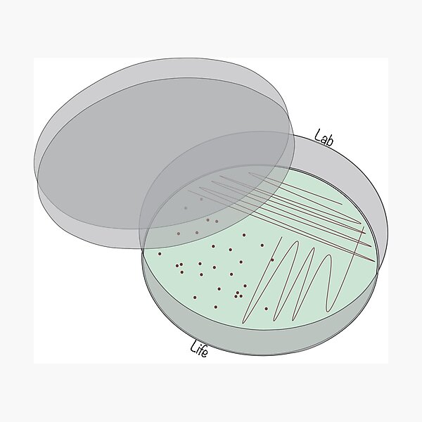 Petri Dish Bacterial Working Stocks Drawing Stock Illustration - Download  Image Now - Drawing - Art Product, Petri Dish, Analyzing - iStock