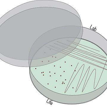 Petri Dish Microorganisms Drawing Tote Bag by Frank Ramspott - Pixels