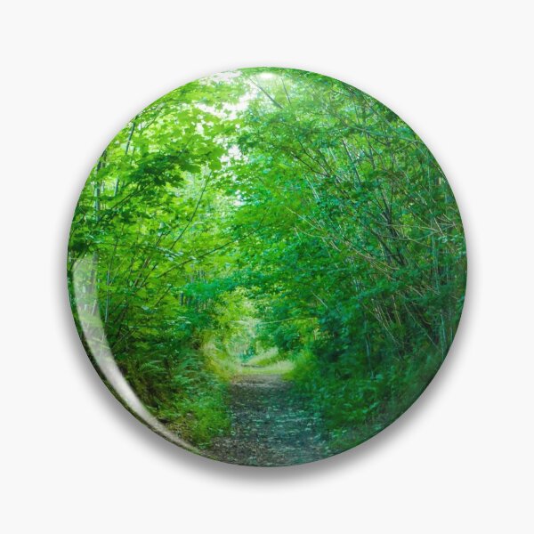 Item preview, Bright forest pathway designed and sold by TomInWales.