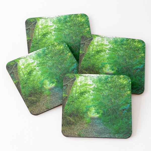 Item preview, Bright forest pathway designed and sold by TomInWales.