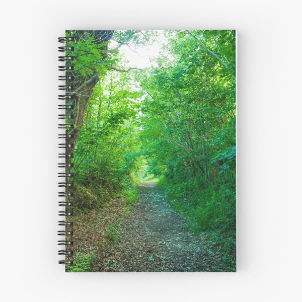 Item preview, Bright forest pathway designed and sold by TomInWales.