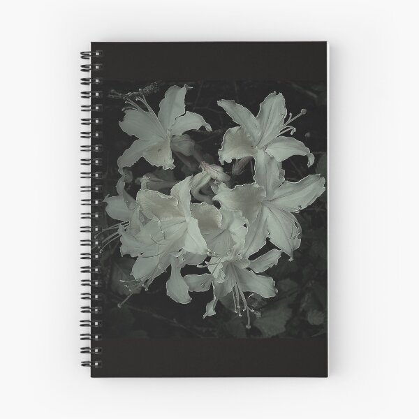 Item preview, Azalea in Black and White designed and sold by Mary Ellen Tuite.
