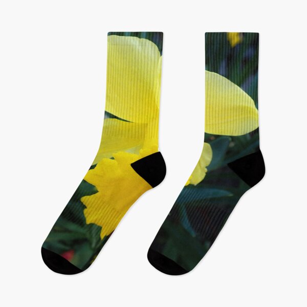 Item preview, Daffodil in the sunshine designed and sold by Allen Penton.