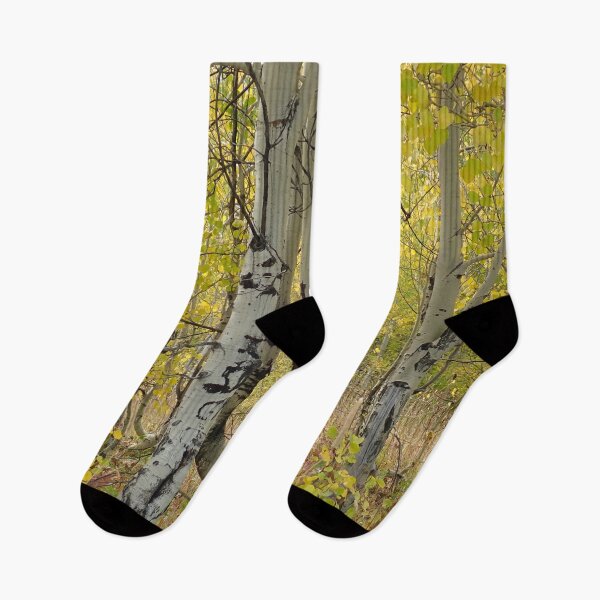 Item preview, Fall Birch Tree  designed and sold by Allen Penton.