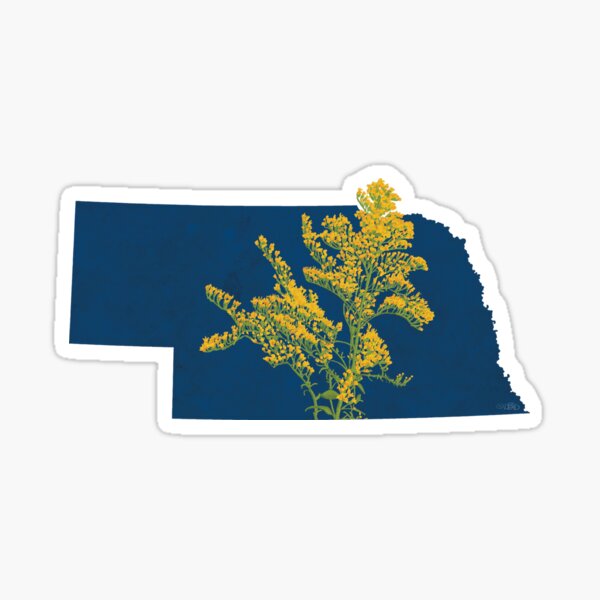 Nebraska Goldenrod Sticker