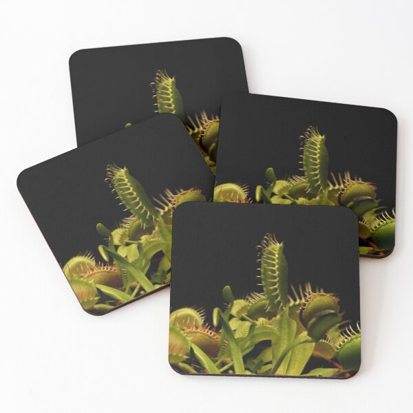 Item preview, Venus Fly Trap - Carnivorous Plant  designed and sold by LCAppling.